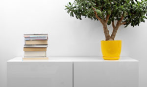 white commode with stack of books and flower pot in bright minimalism interior